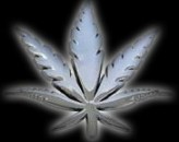 badgeleafblk.jpg