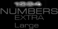 exlrgnumbers.jpg