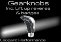 gearknobs.jpg