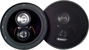riesen6inchcarspeakers.jpg
