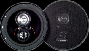 riesen6inchcarspeakersblk.jpg